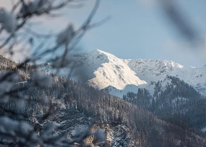 Apartament Urgestein *